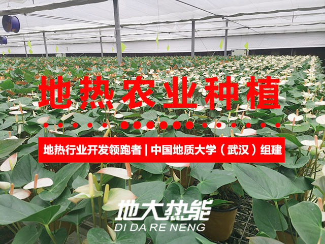濟南：“地熱能+農(nóng)業(yè)”產(chǎn)業(yè)融合，讓地熱能真正“熱”起來-地大熱能